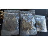 Freeze Dried Whole Quail Dog and Cat Chews
