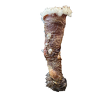 Single Ingredient, Dehydrated Lamb Hide Roll Dog Chew