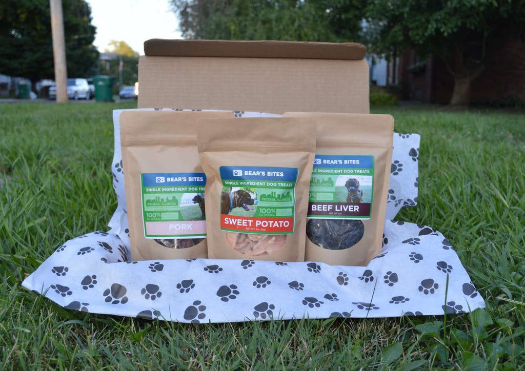 Bite Box Set Medium Monthly Bite Box – Bear's Bites